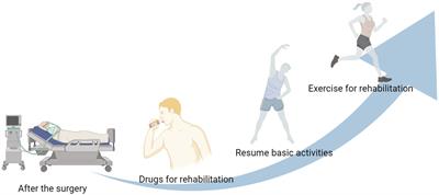 Application of Drug and Exercise Intervention in Postoperative Rehabilitation: A New Evaluation of Health Coordination Effect